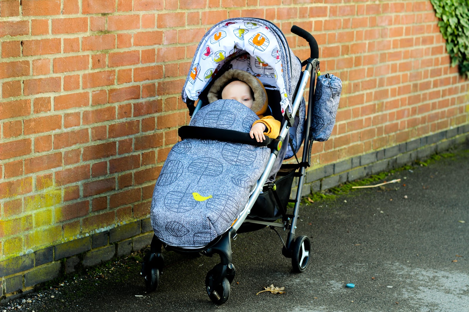 The Cosatto Yo 2 Stroller Alice Anne